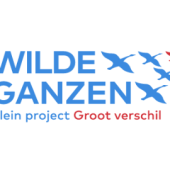 wilde ganzen 320.png