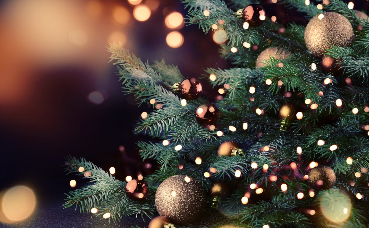 Kerstboom.