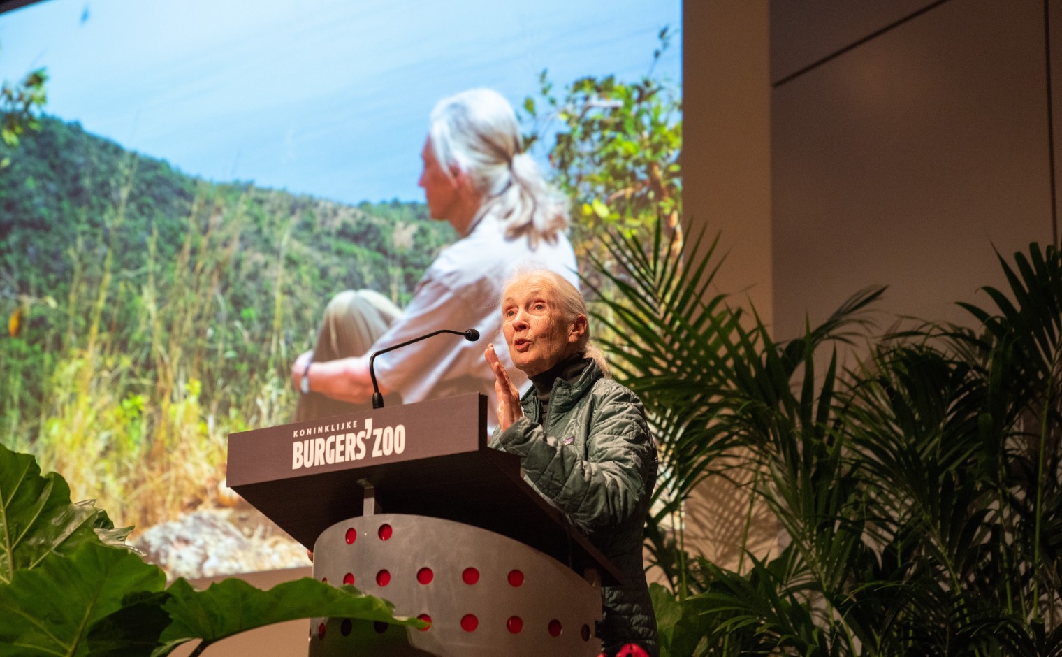 Jane Goodall spreekt bij Burgers Zoo, op 28 april 2023.