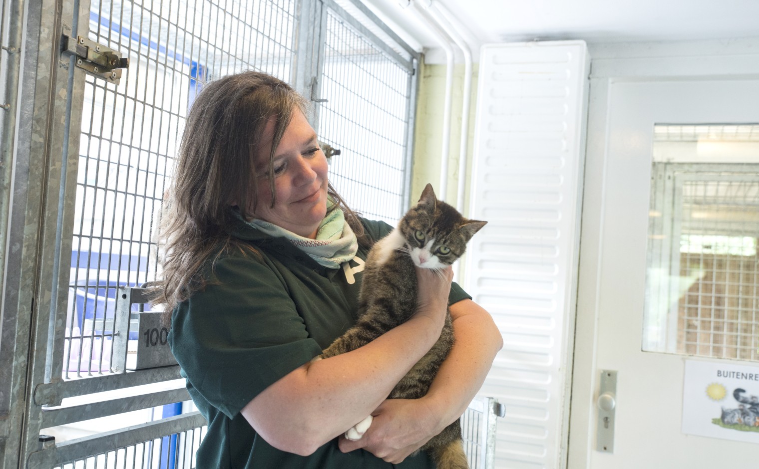 Annemieke Smit, Dierentehuis Arnhem