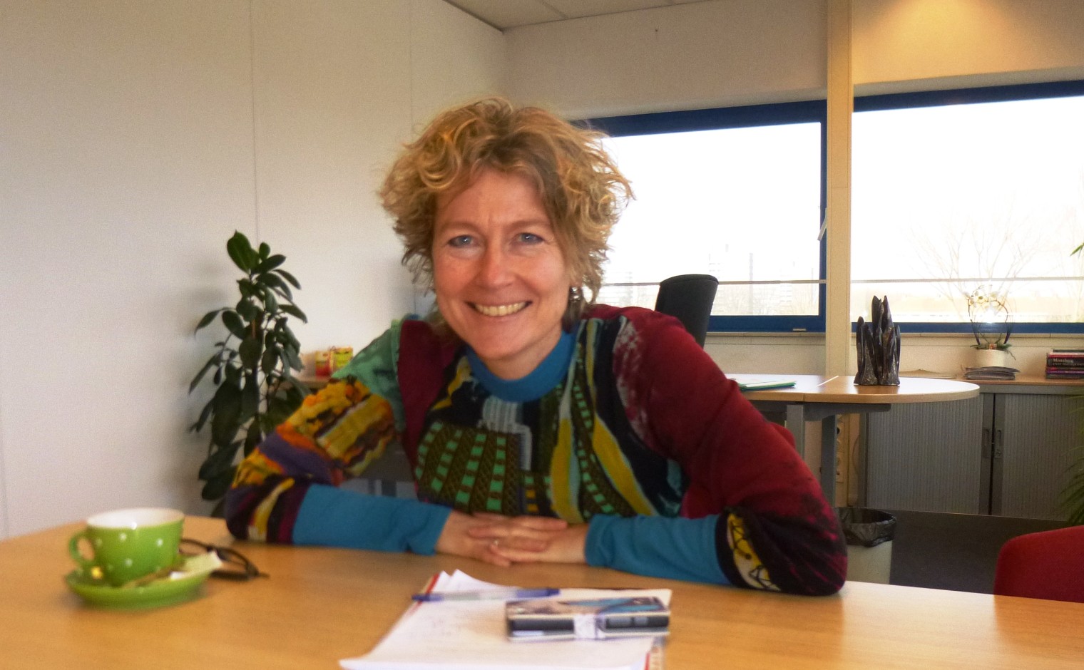 Roline de Wilde, directeur-bestuurder van het Centraal Bureau Fondsenwerving.