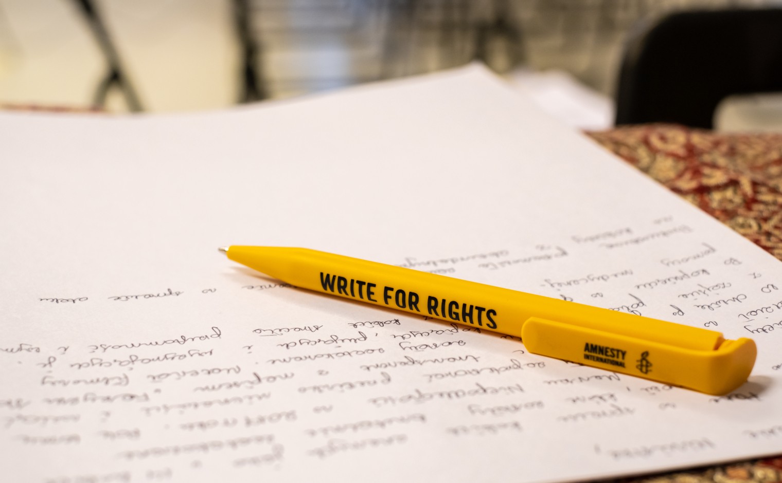 Amnesty International is één van de mensenrechtenorganisaties die expliciet wordt genoemd.