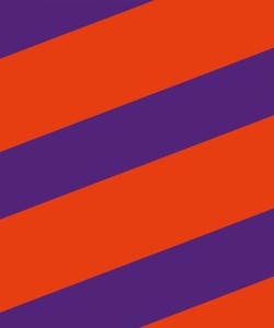 Volt Nederland - Brand colors.jpeg