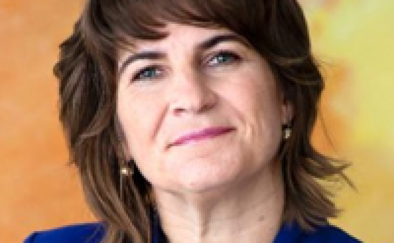 Lillianne Ploumen