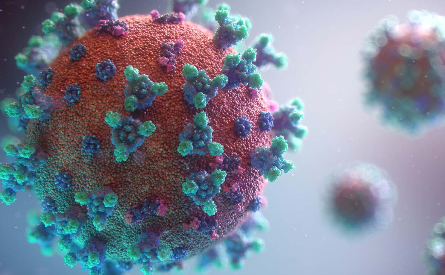 Coronavirus.