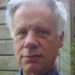 Maarten de Vries