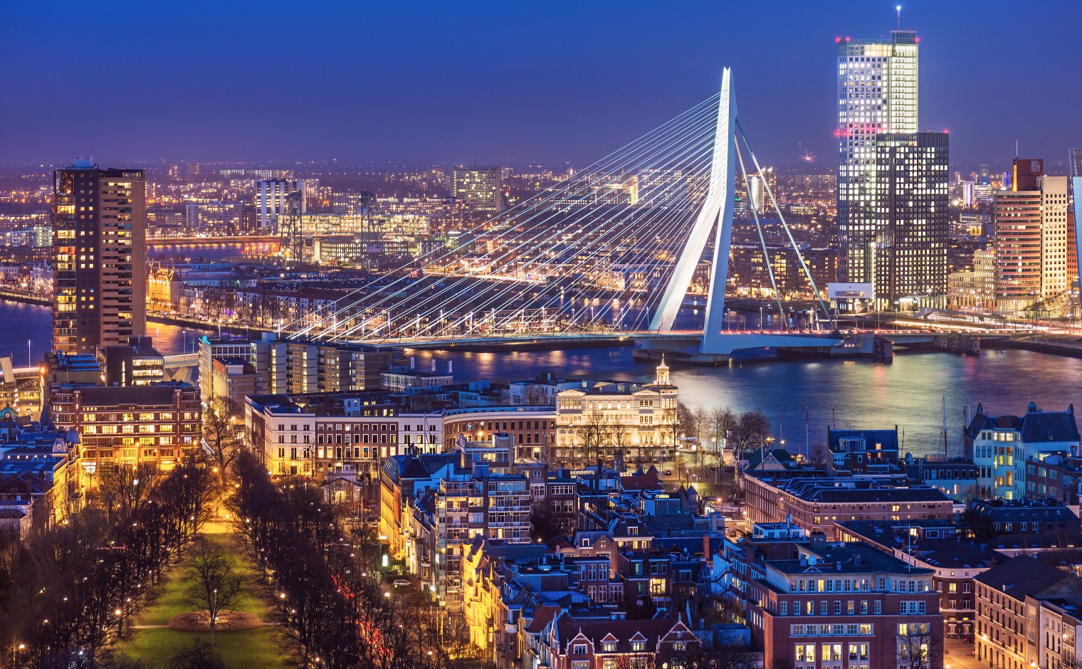Skyline van Rotterdam met op de voorgrond de Erasmusbrug