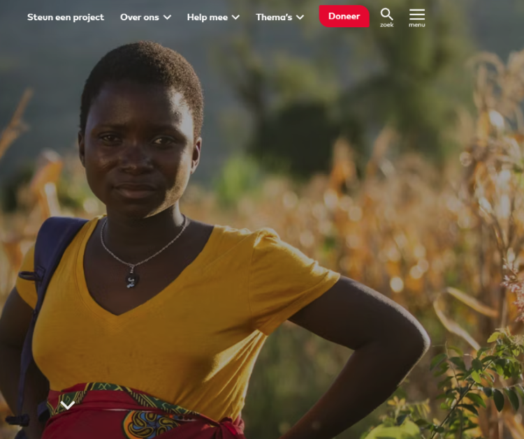 Wilde Ganzen gebruikt een hamburgermenu op de desktop versie (rechtsboven)