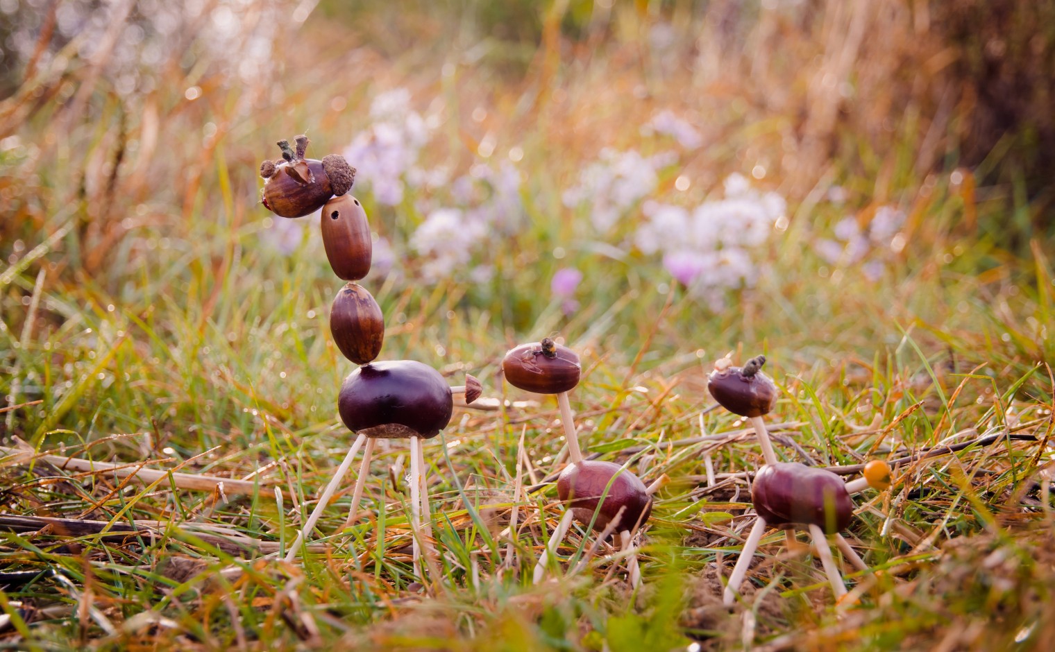 Dierenfiguurtjes gemaakt van kastanjes