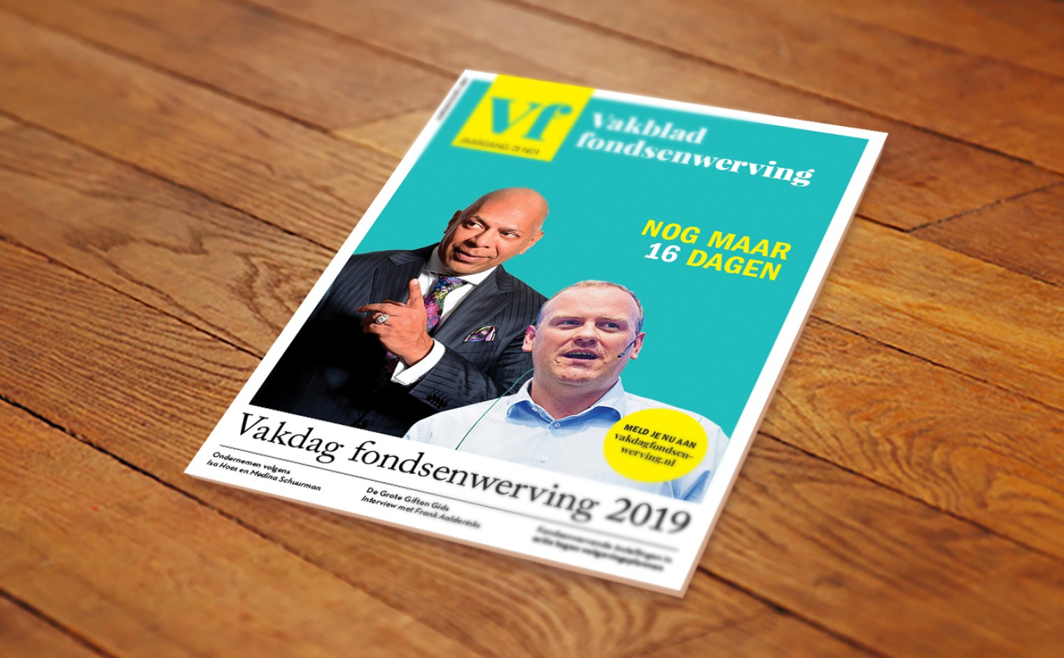 Cover Vf 21-1 liggend