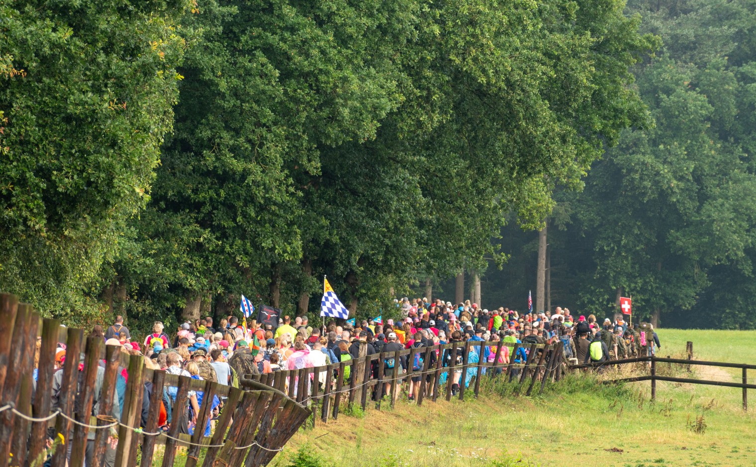 Wandelaars op de route van de Vierdaagse (archief, 2025)