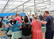 Vrachtwagens vol voor Zending over Grenzen