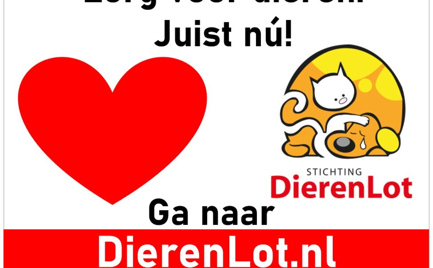 Zorg voor dieren. Juist nu!