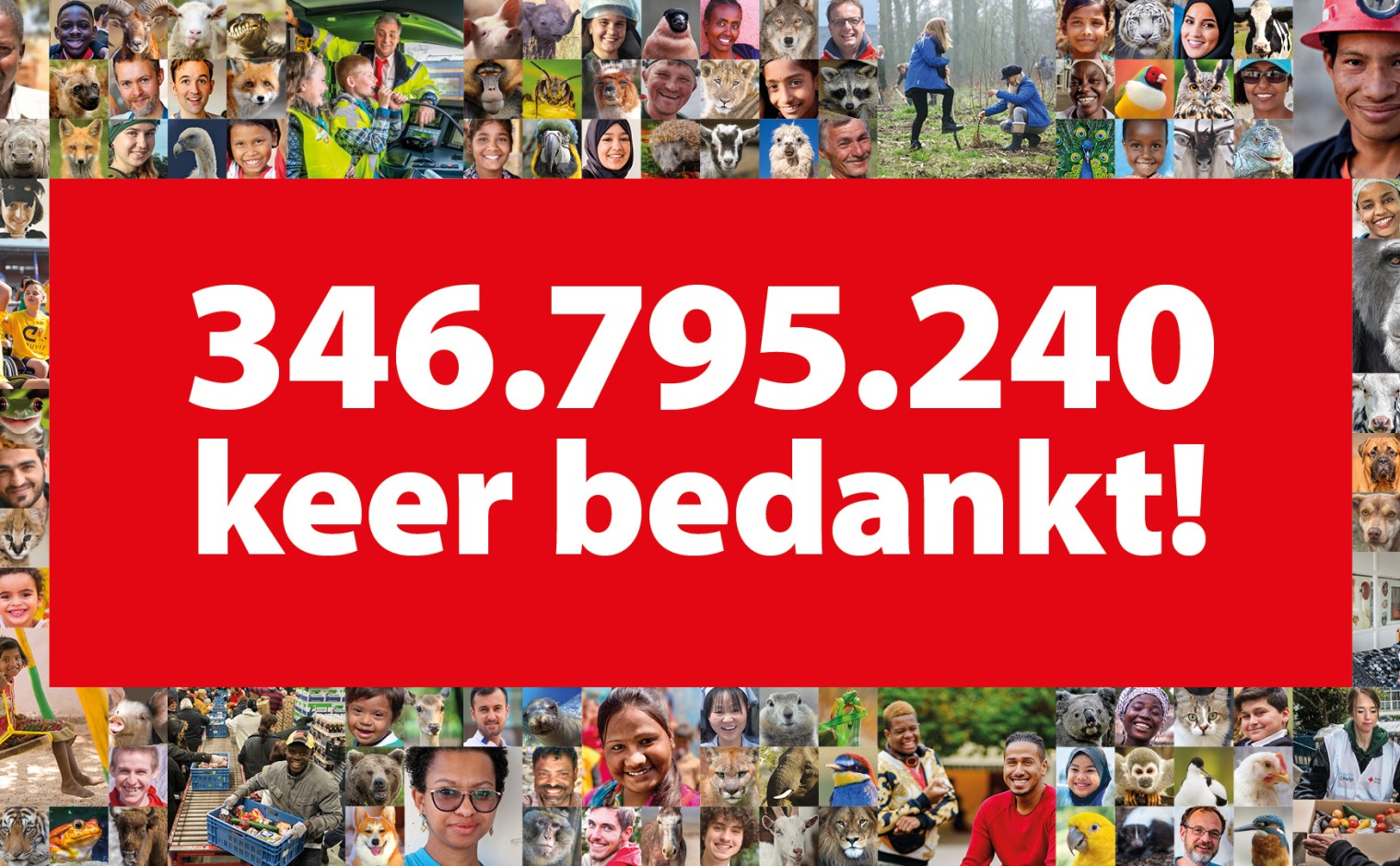 De Postcode Loterij kon 346.795.240 euro uitkeren aan haar begunstigden.