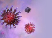 Liveblog: Het coronavirus in de goededoelensector (30 maart t/m 3 april)