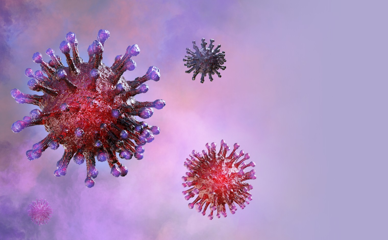 Coronavirus (beeld ter illustratie)