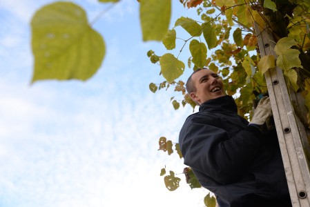 Richard als vrijwilliger aan het werk voor Natuurmonumenten | © Dana Dijkgraaf