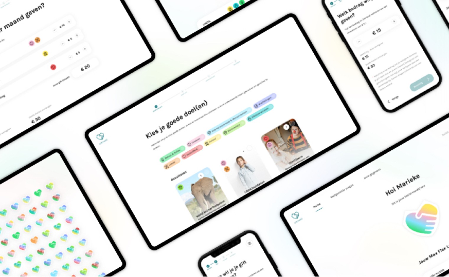 Voorbeeld van de website