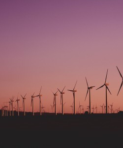 windmolens tegenwind opinie.jpg