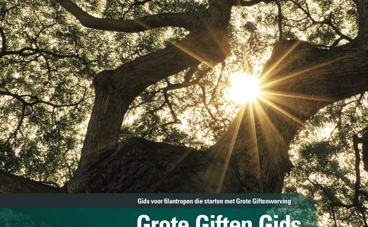 Cover Grote Giften Gids van ABN AMRO MeesPierson