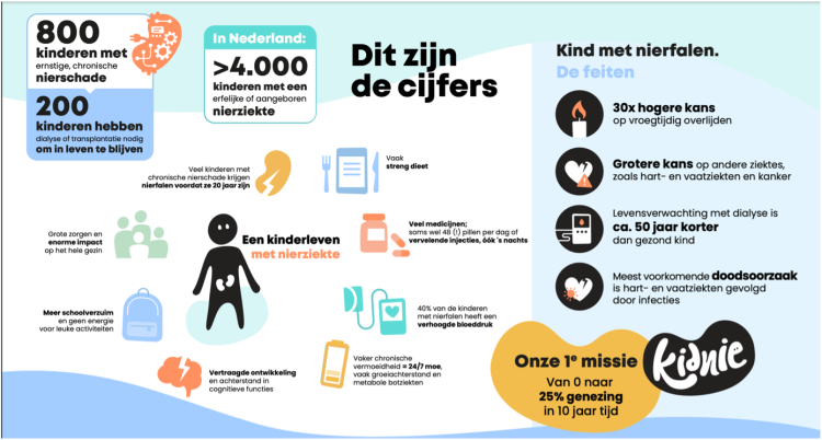 Infographic Kidnie