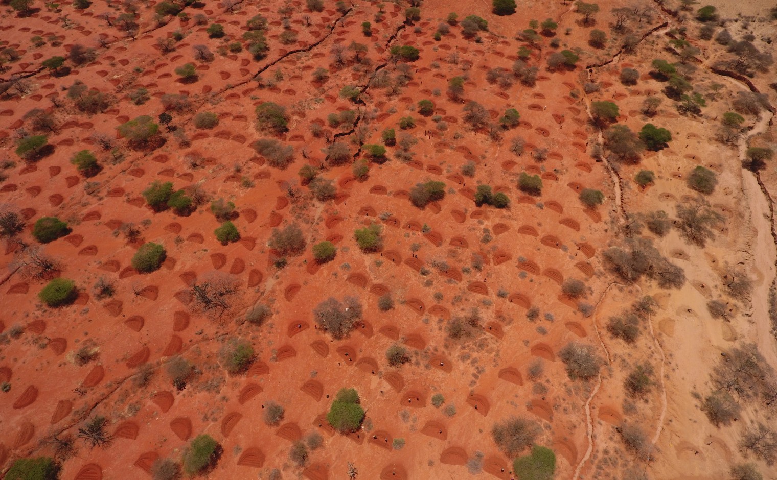 De 'bunds' (halvemaanvormige gaten in de grond) in Pembamoto, vanuit de lucht.