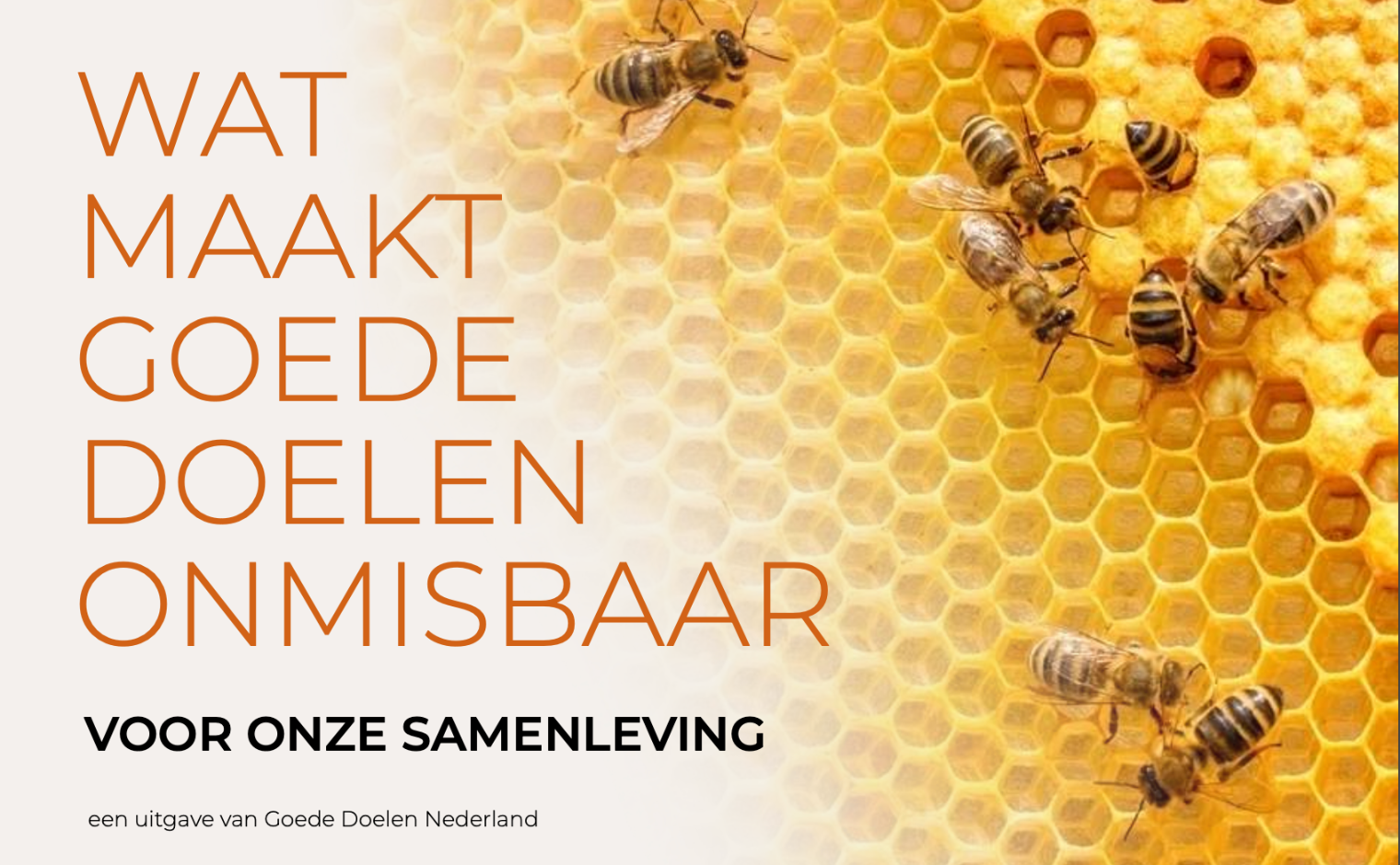 Cover van de uitgave 'Wat maakt goede doelen onmisbaar' van brancheorganisatie Goede Doelen Nederland.