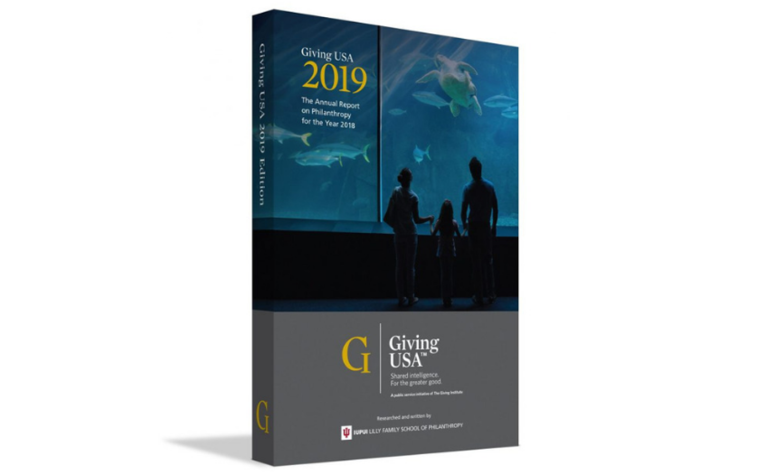 Cover van Giving USA 2019.