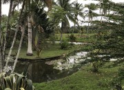 Hoe Gerda Havertong met Stichting Wiesje in Suriname Alzheimer op de kaart zette
