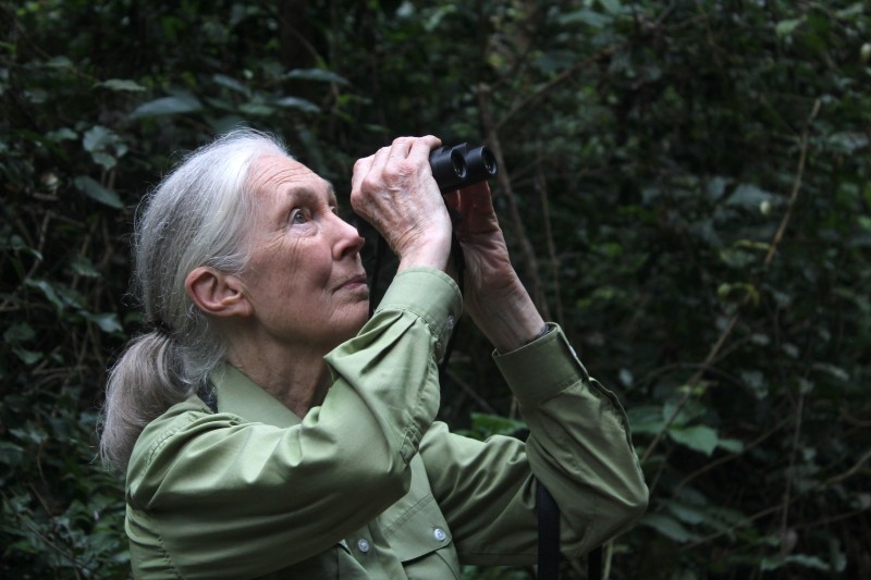 Jane Goodall in Gombe National Park (C) JGI / Shawn Sweeney